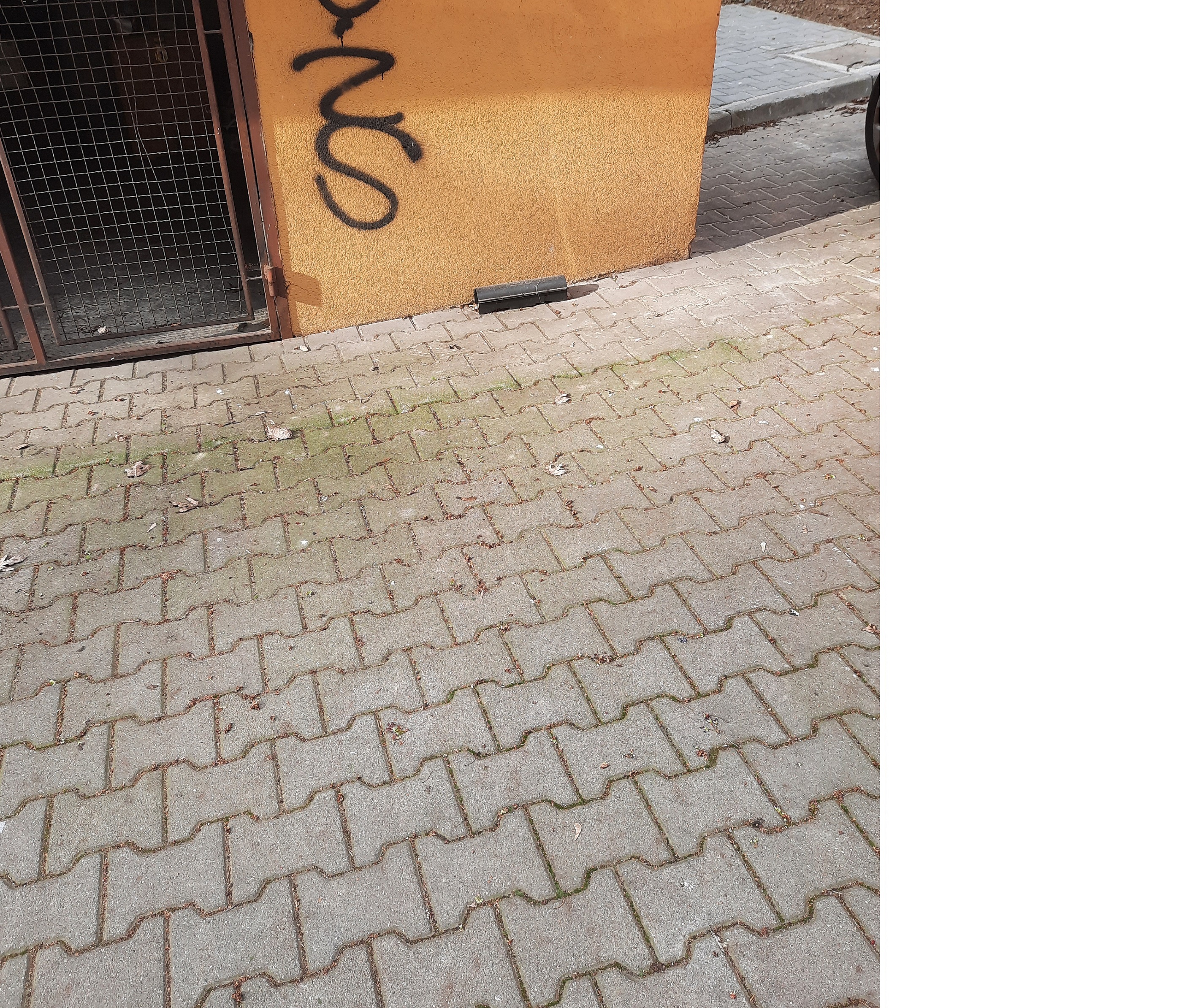 Zdjęcie przed zamalowaniem