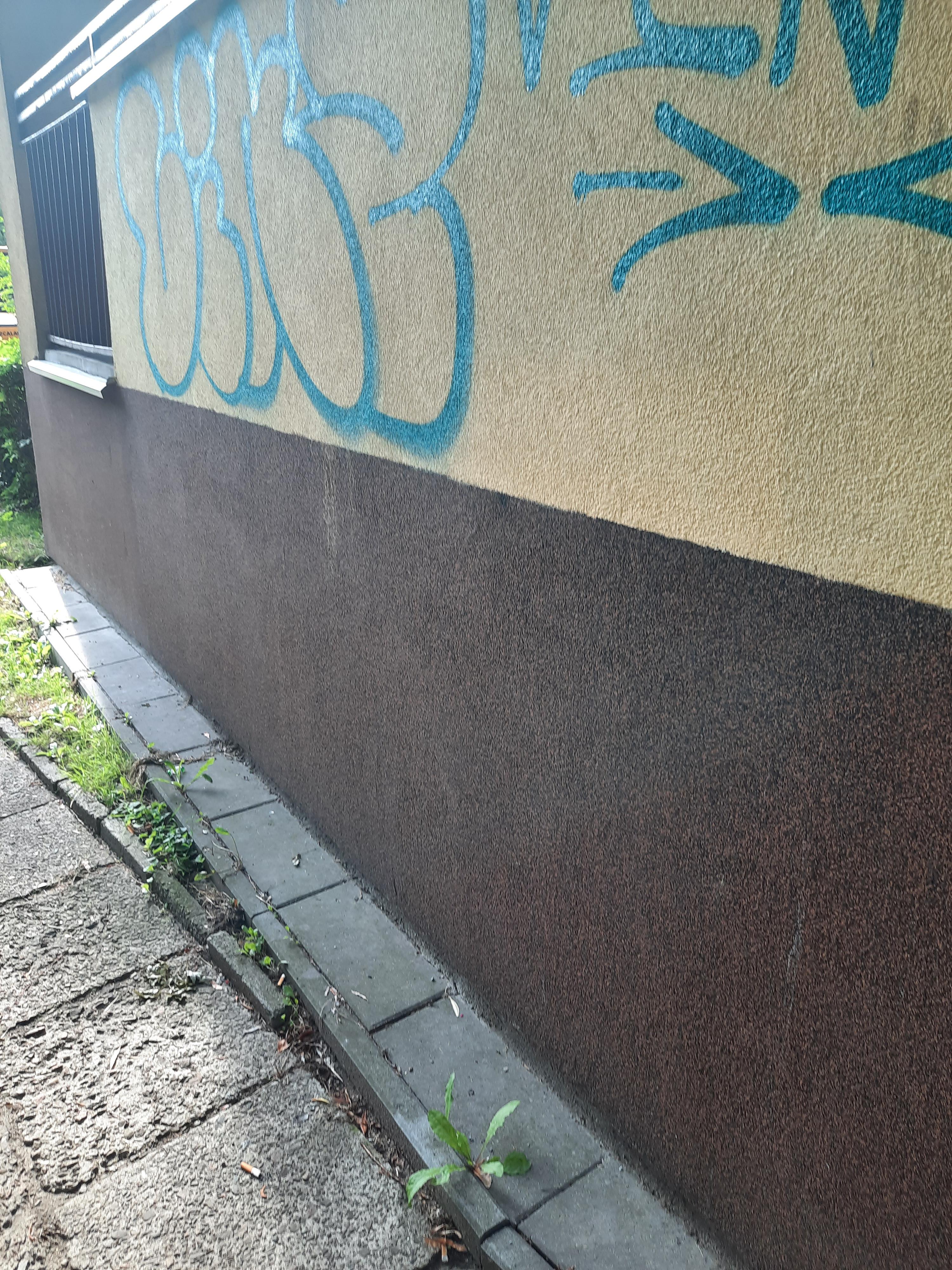 Zdjęcie przed zamalowaniem