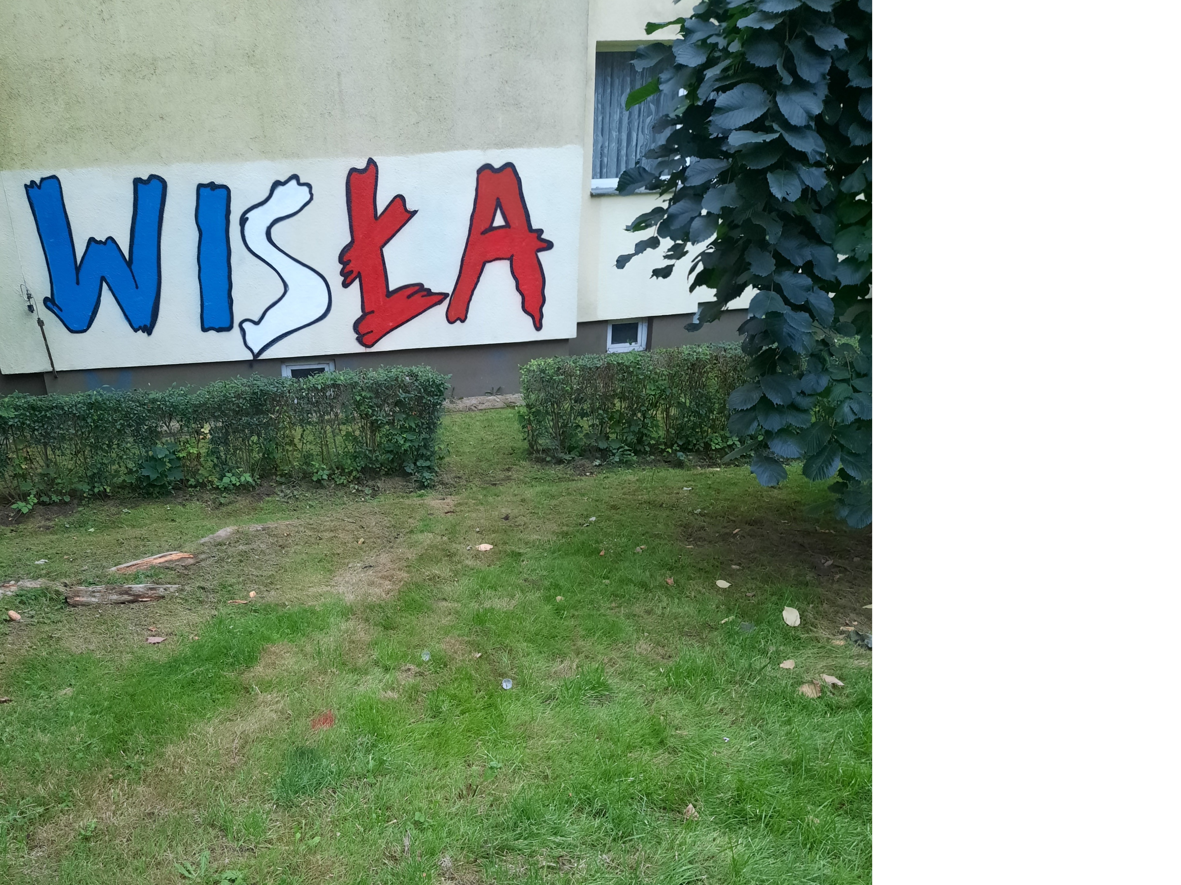Zdjęcie przed zamalowaniem