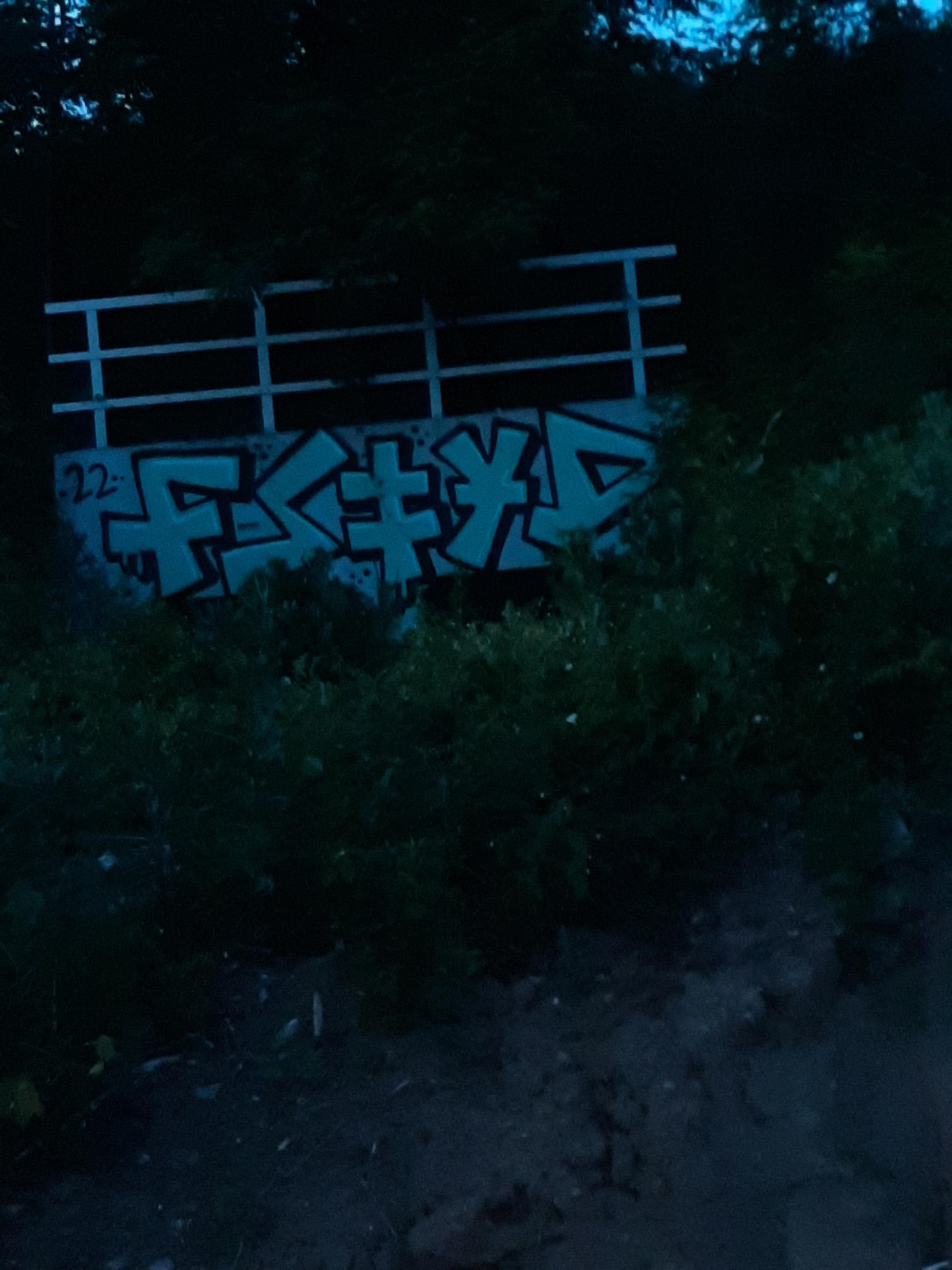 Zdjęcie przed zamalowaniem