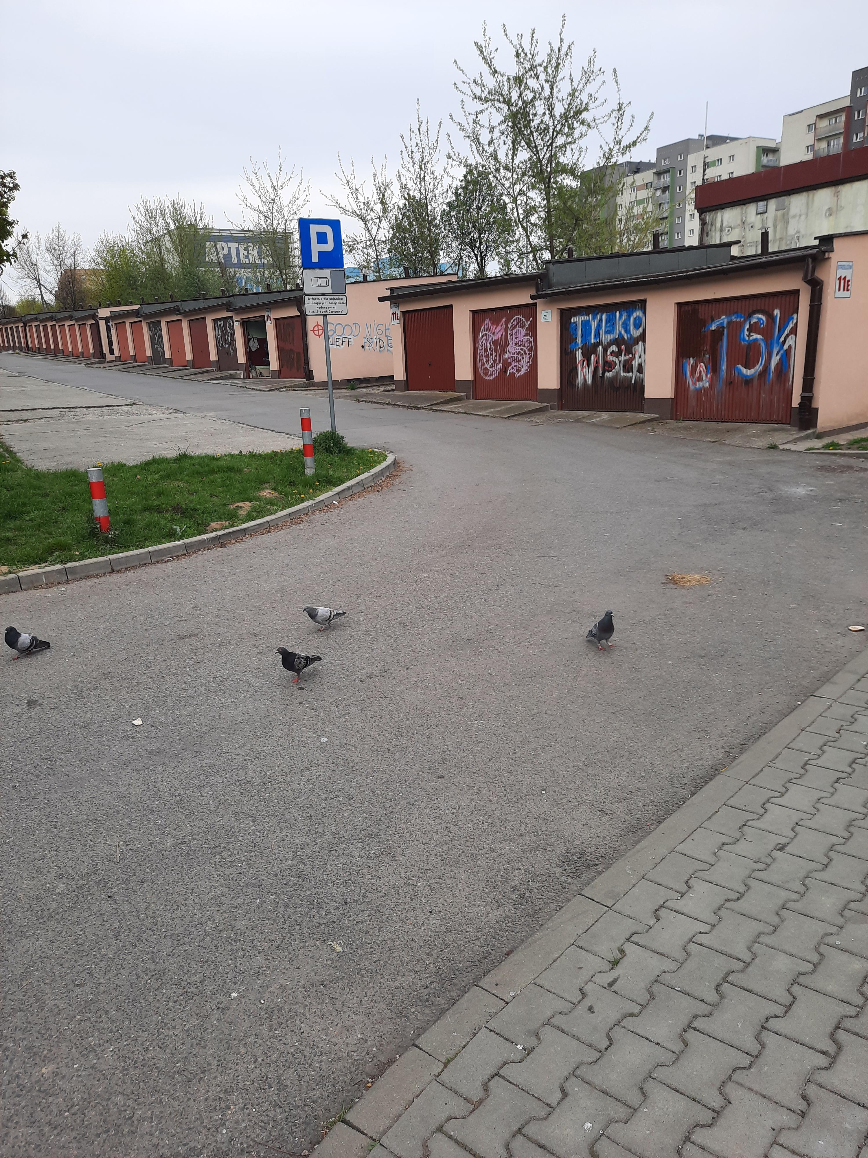 Zdjęcie przed zamalowaniem