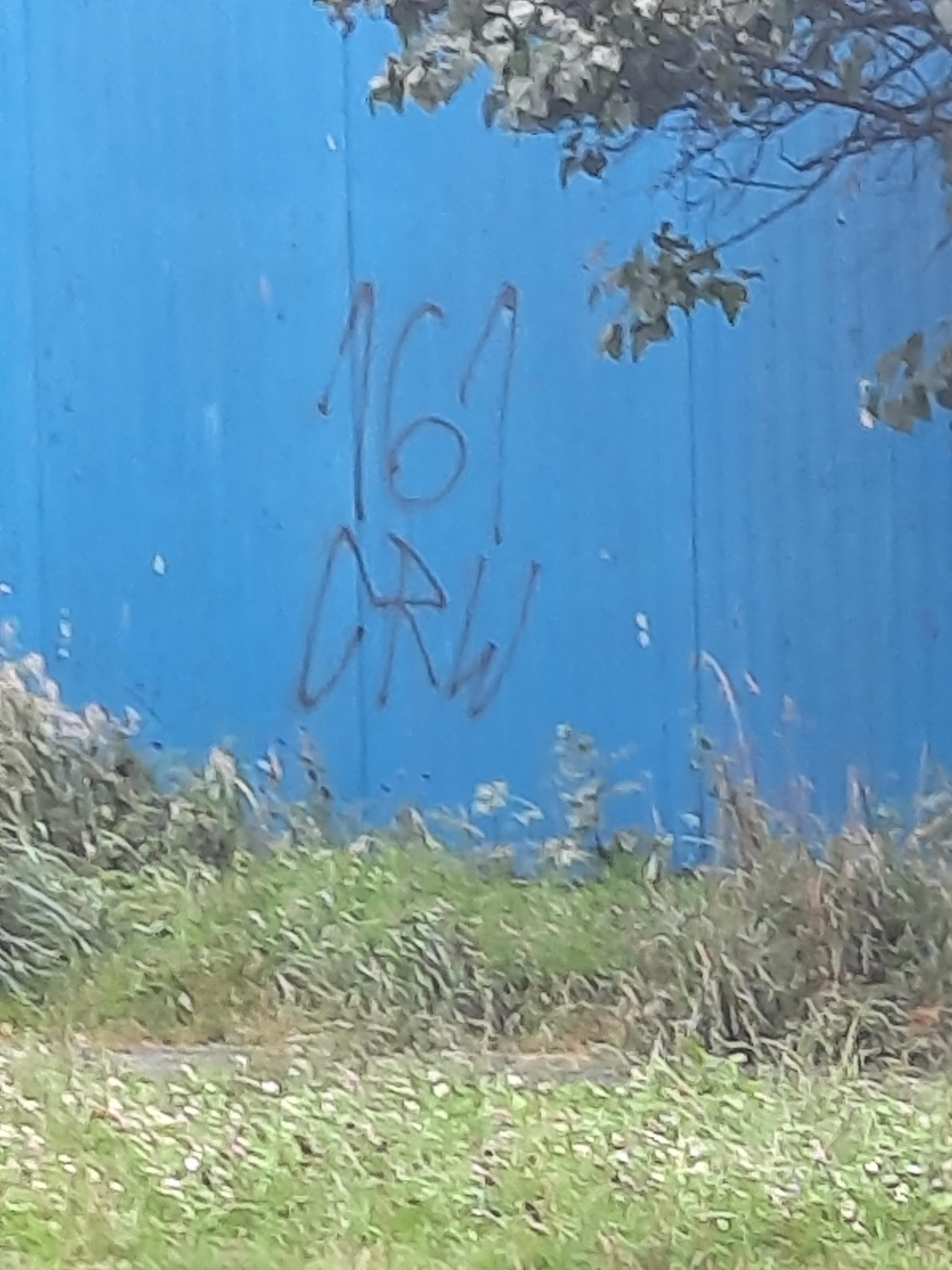 Zdjęcie przed zamalowaniem