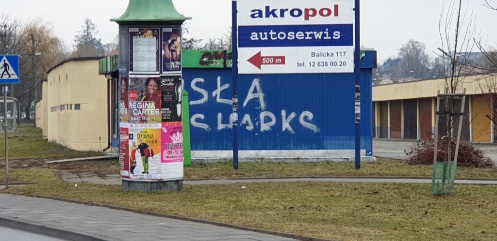 Zdjęcie przed zamalowaniem