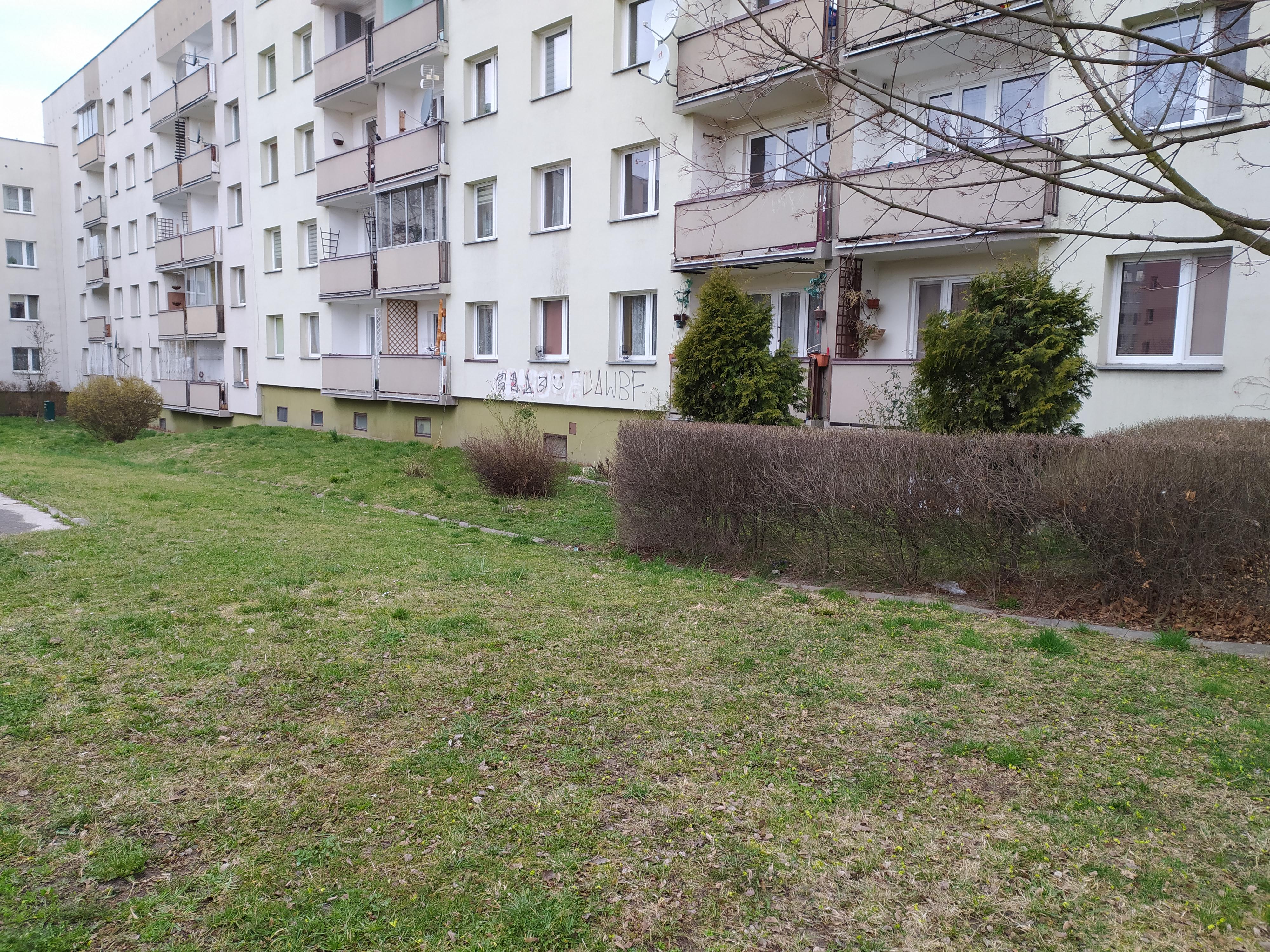 Zdjęcie przed zamalowaniem