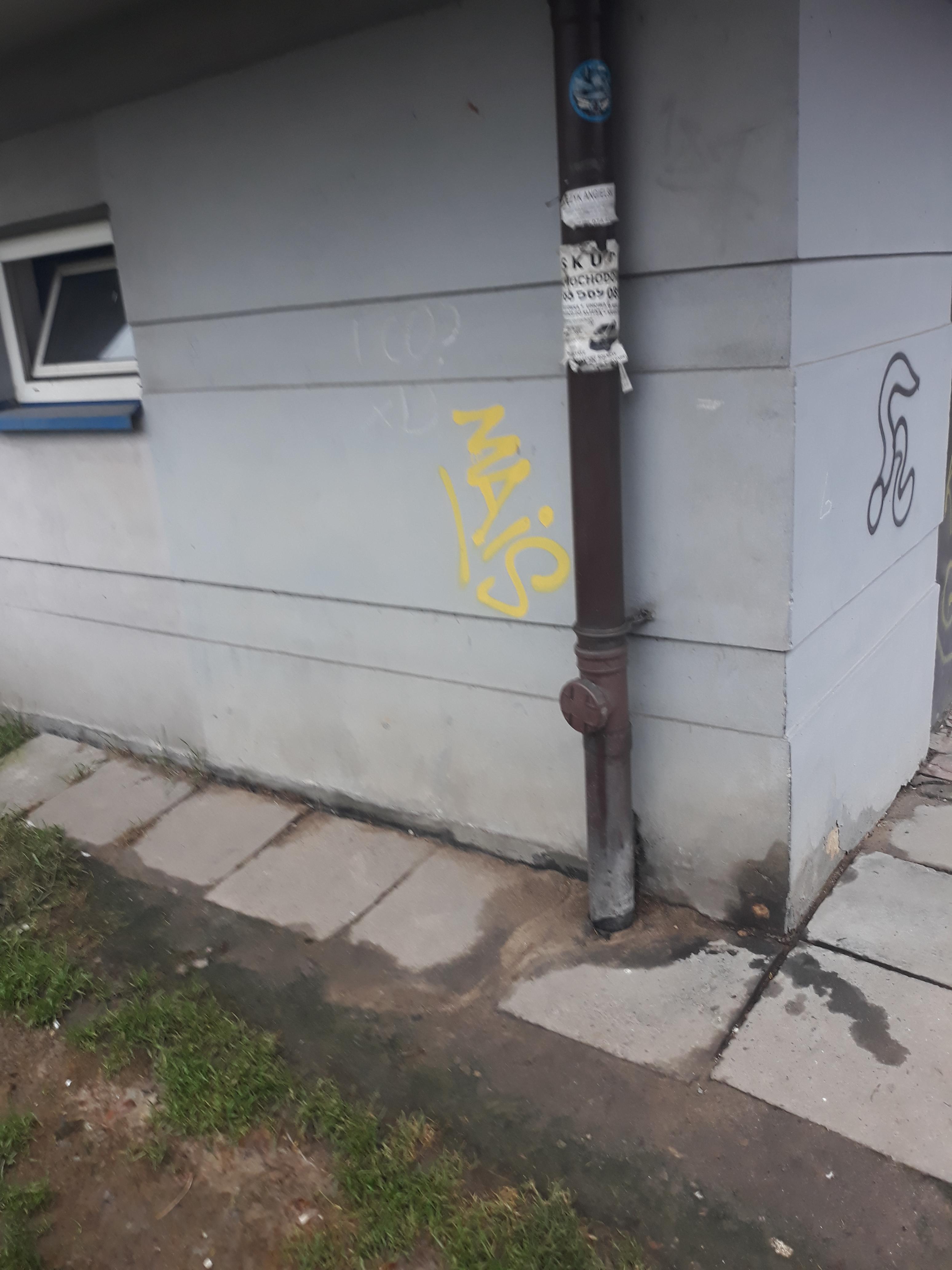 Zdjęcie przed zamalowaniem