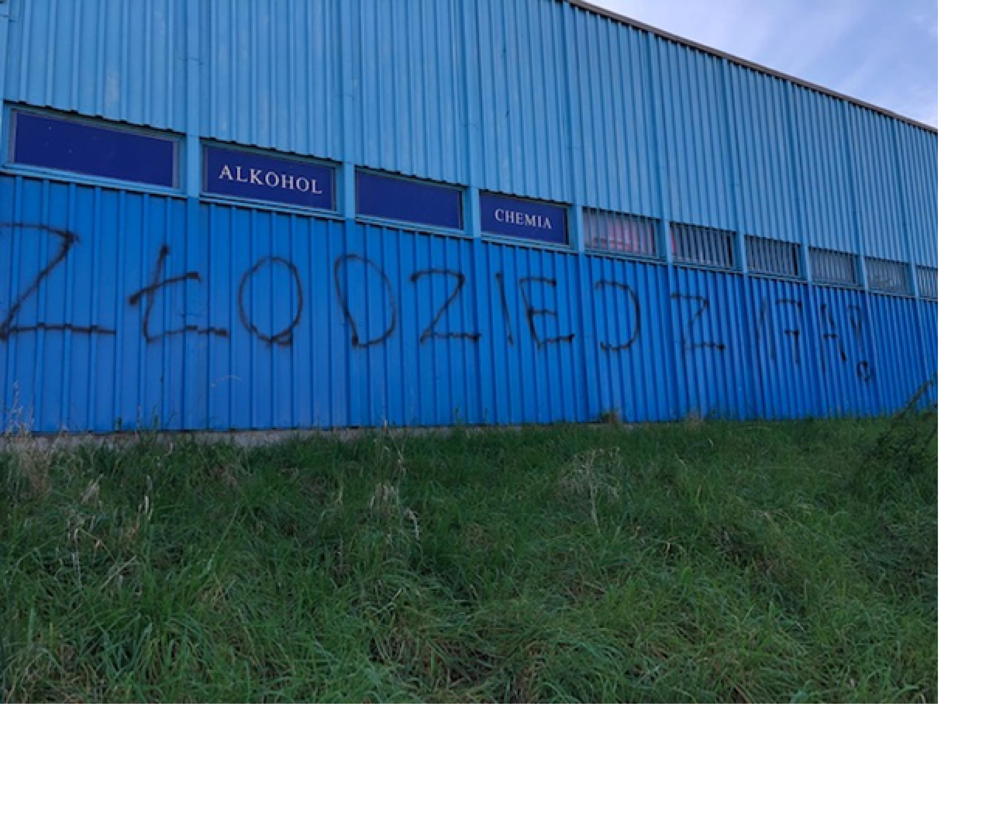 Zdjęcie przed zamalowaniem