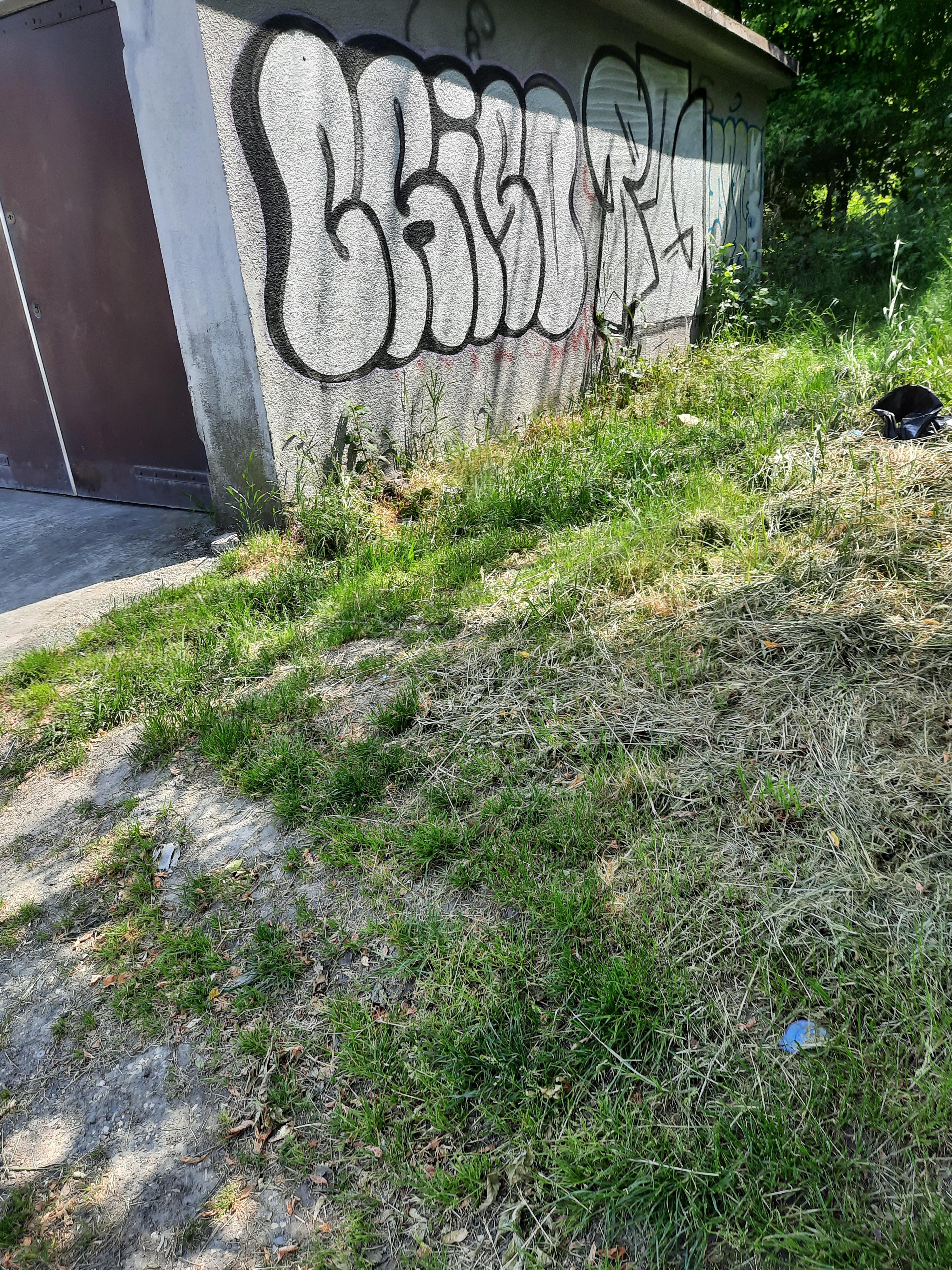 Zdjęcie przed zamalowaniem