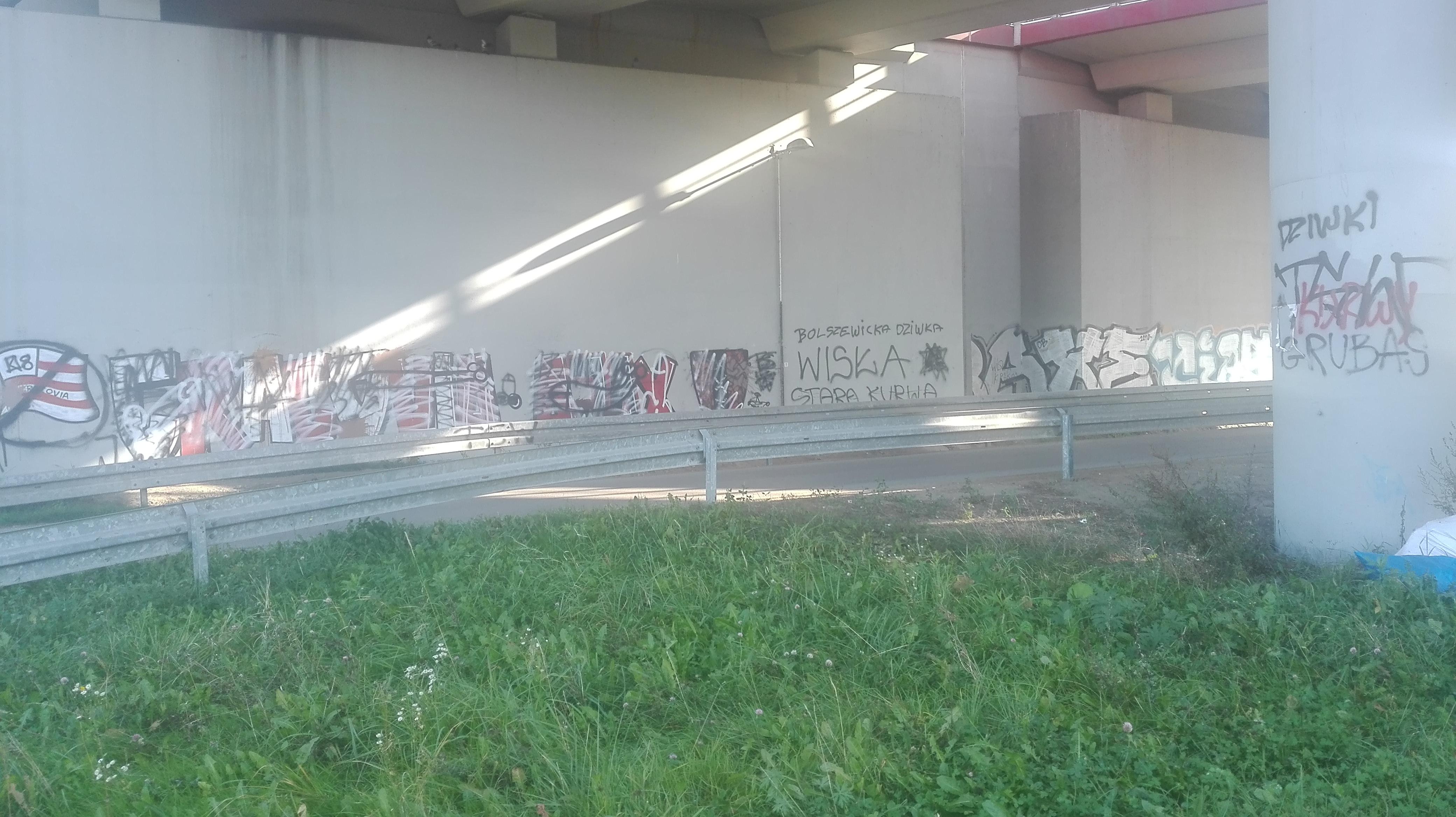 Zdjęcie przed zamalowaniem