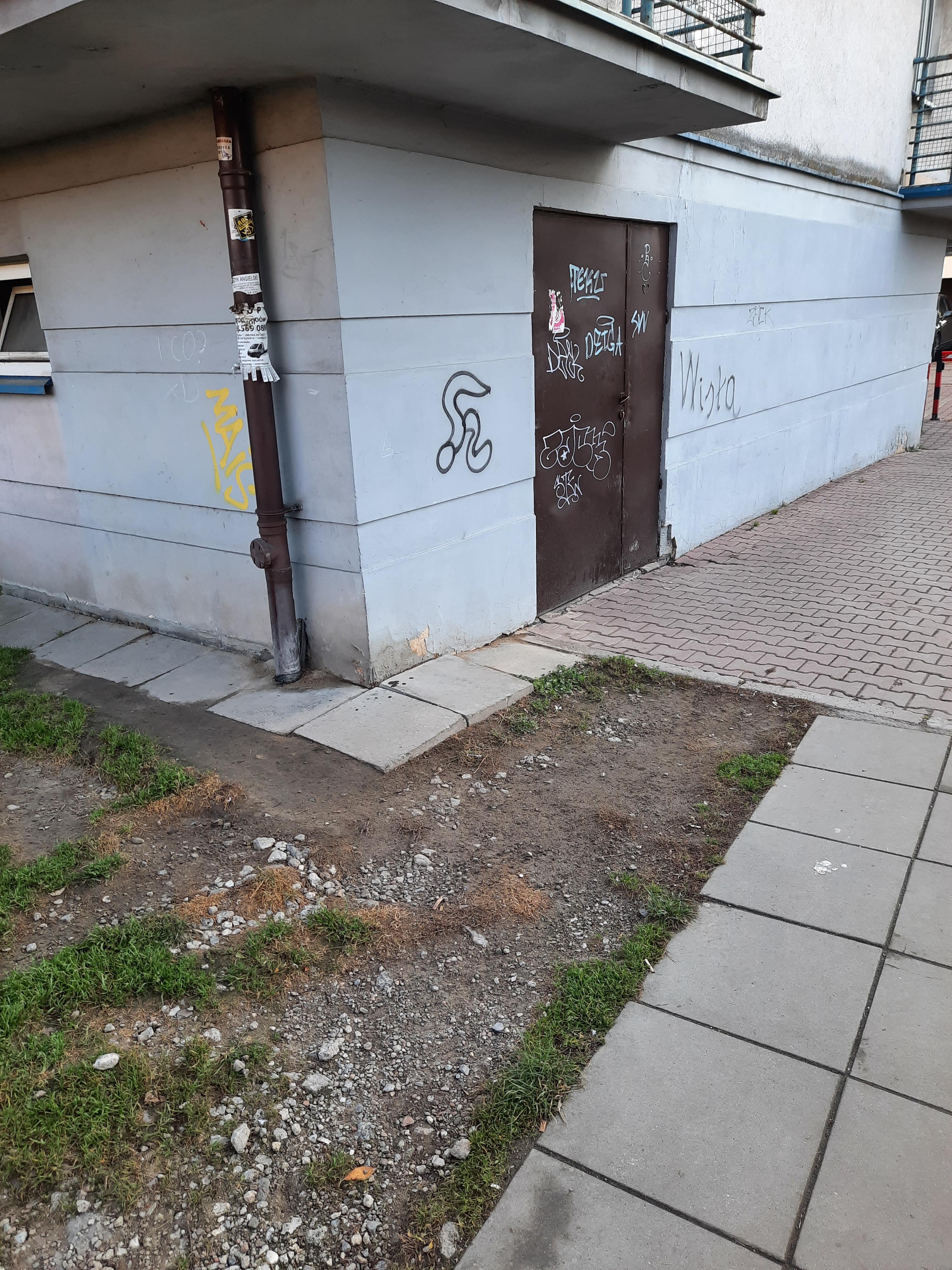 Zdjęcie przed zamalowaniem