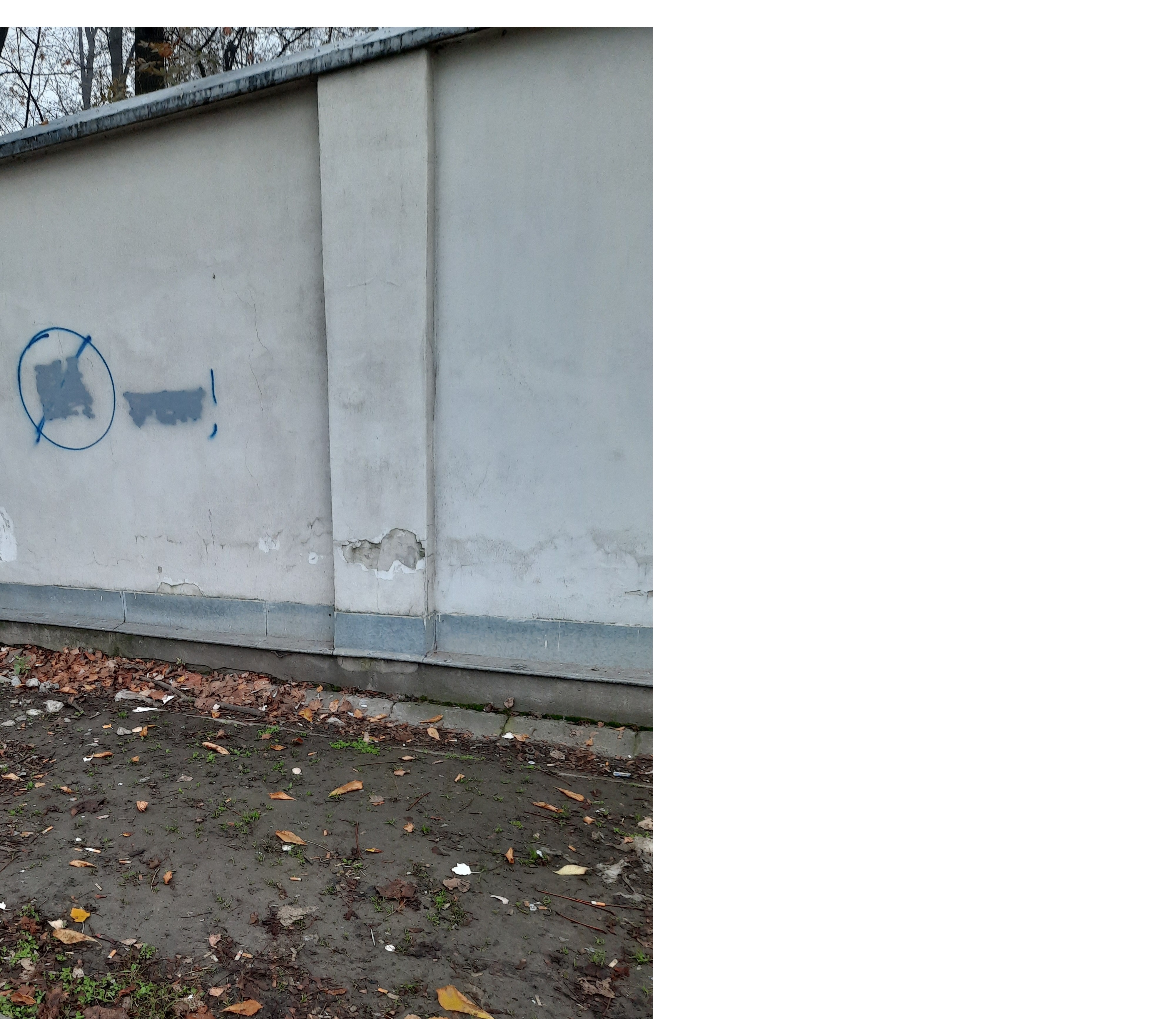 Zdjęcie przed zamalowaniem
