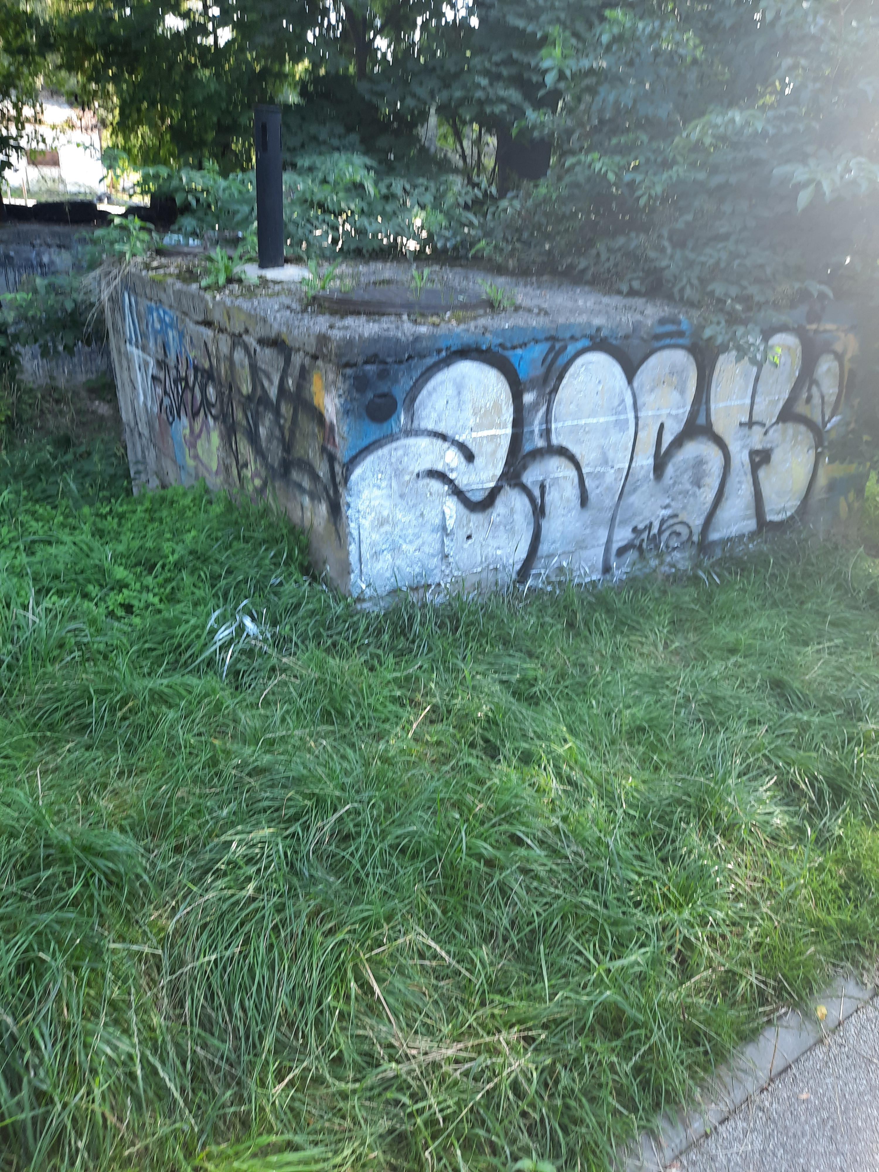 Zdjęcie przed zamalowaniem