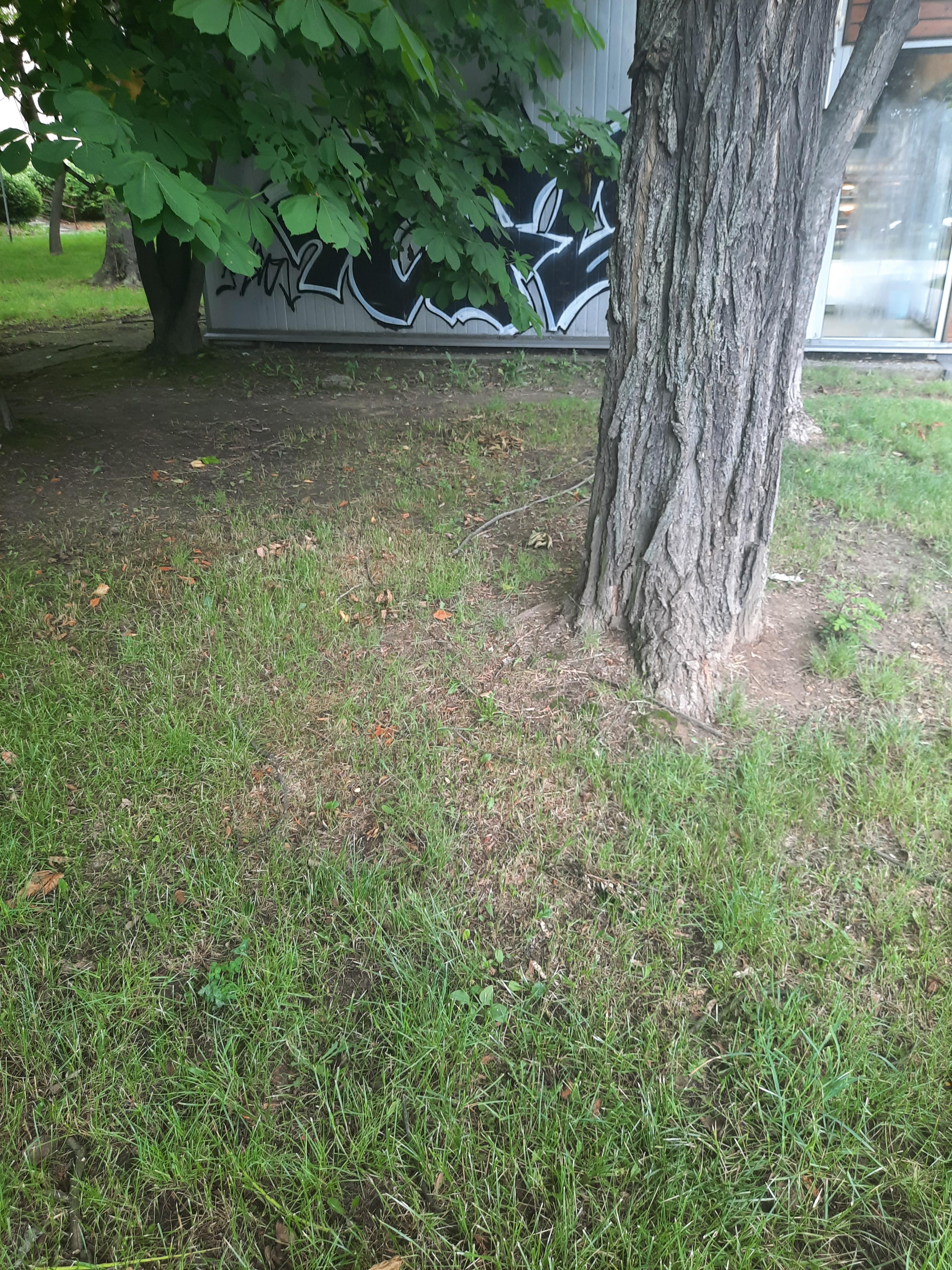 Zdjęcie przed zamalowaniem