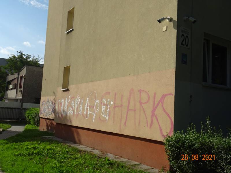 Zdjęcie przed zamalowaniem