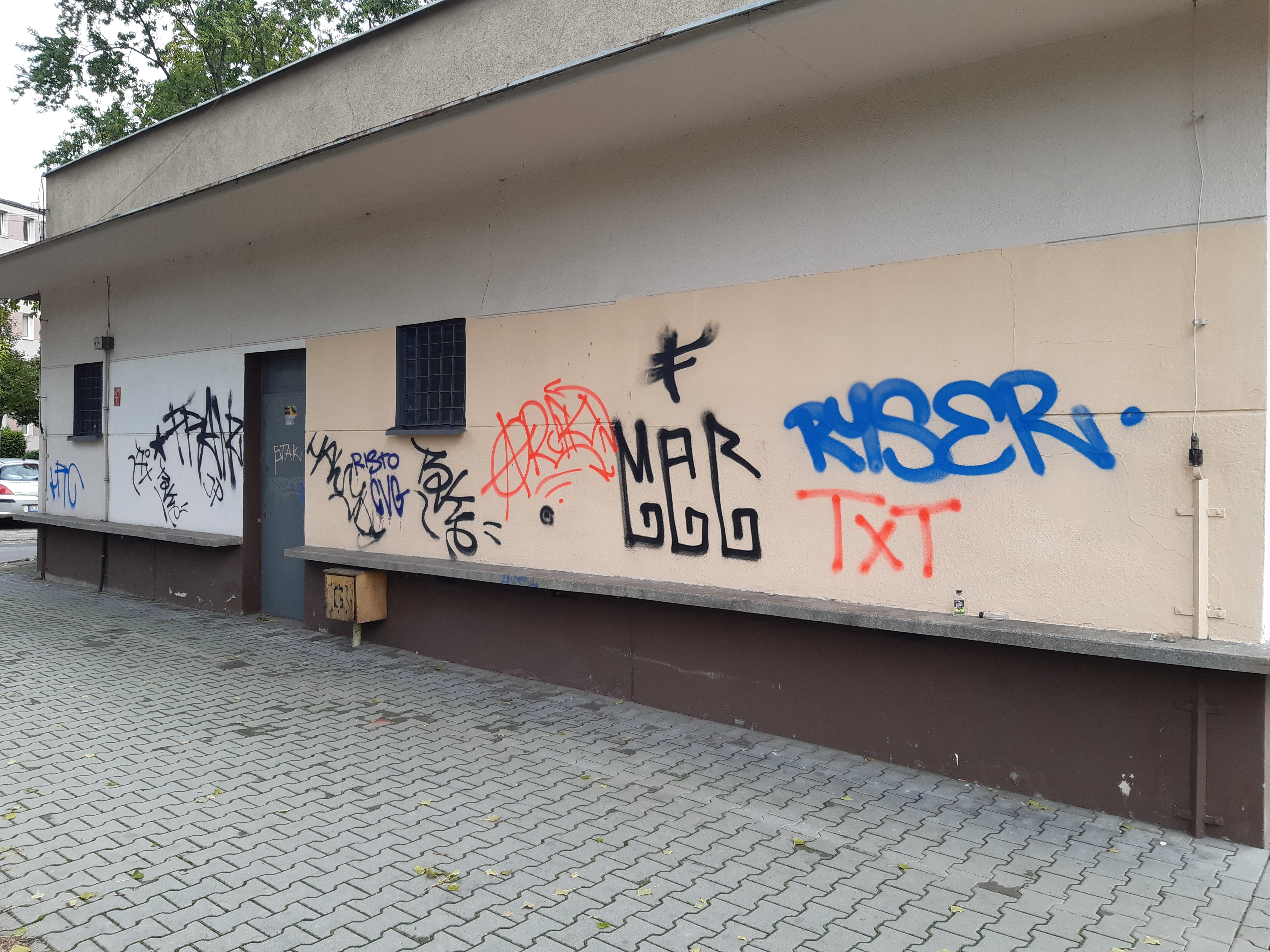 Zdjęcie przed zamalowaniem