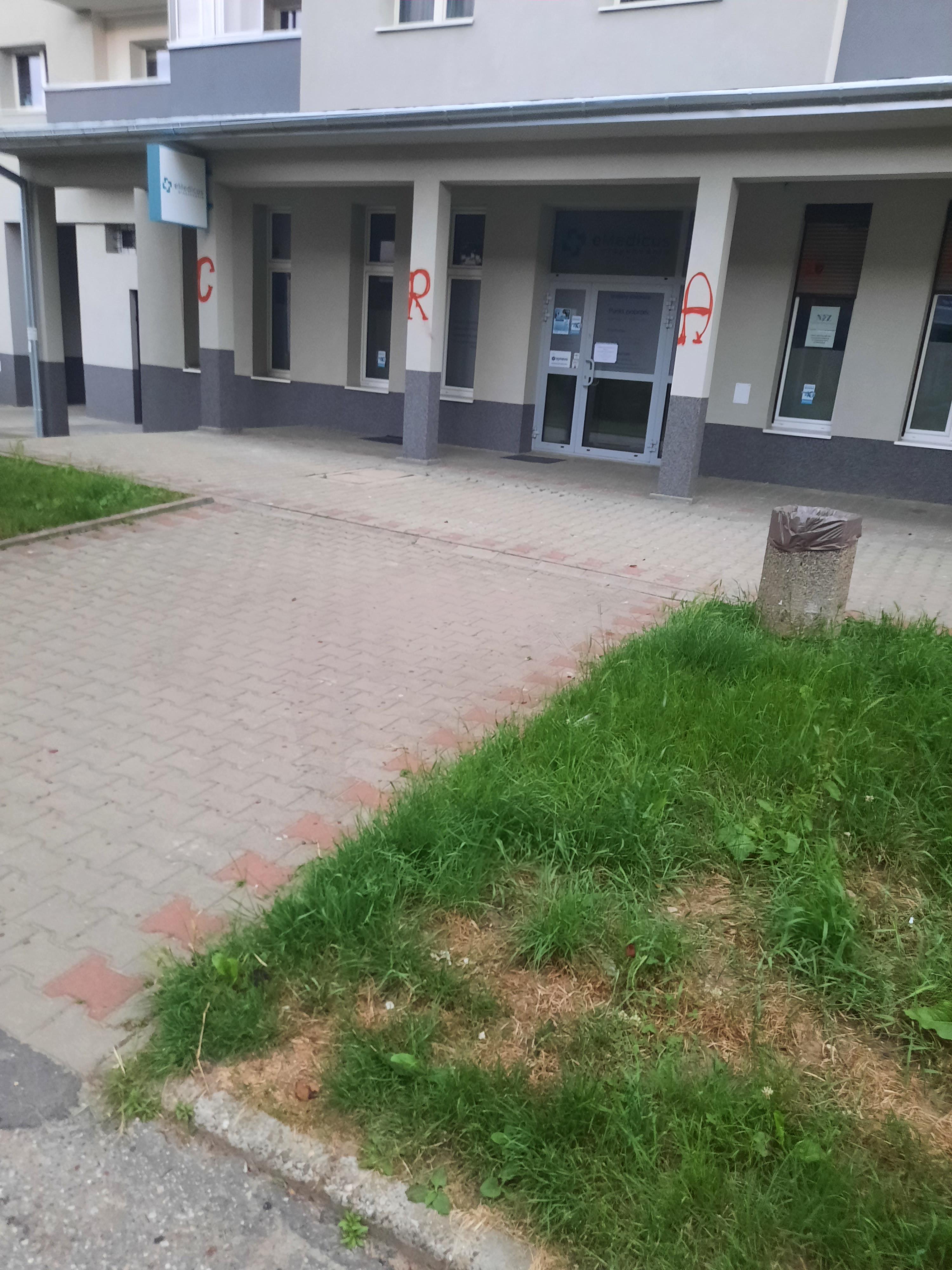 Zdjęcie przed zamalowaniem