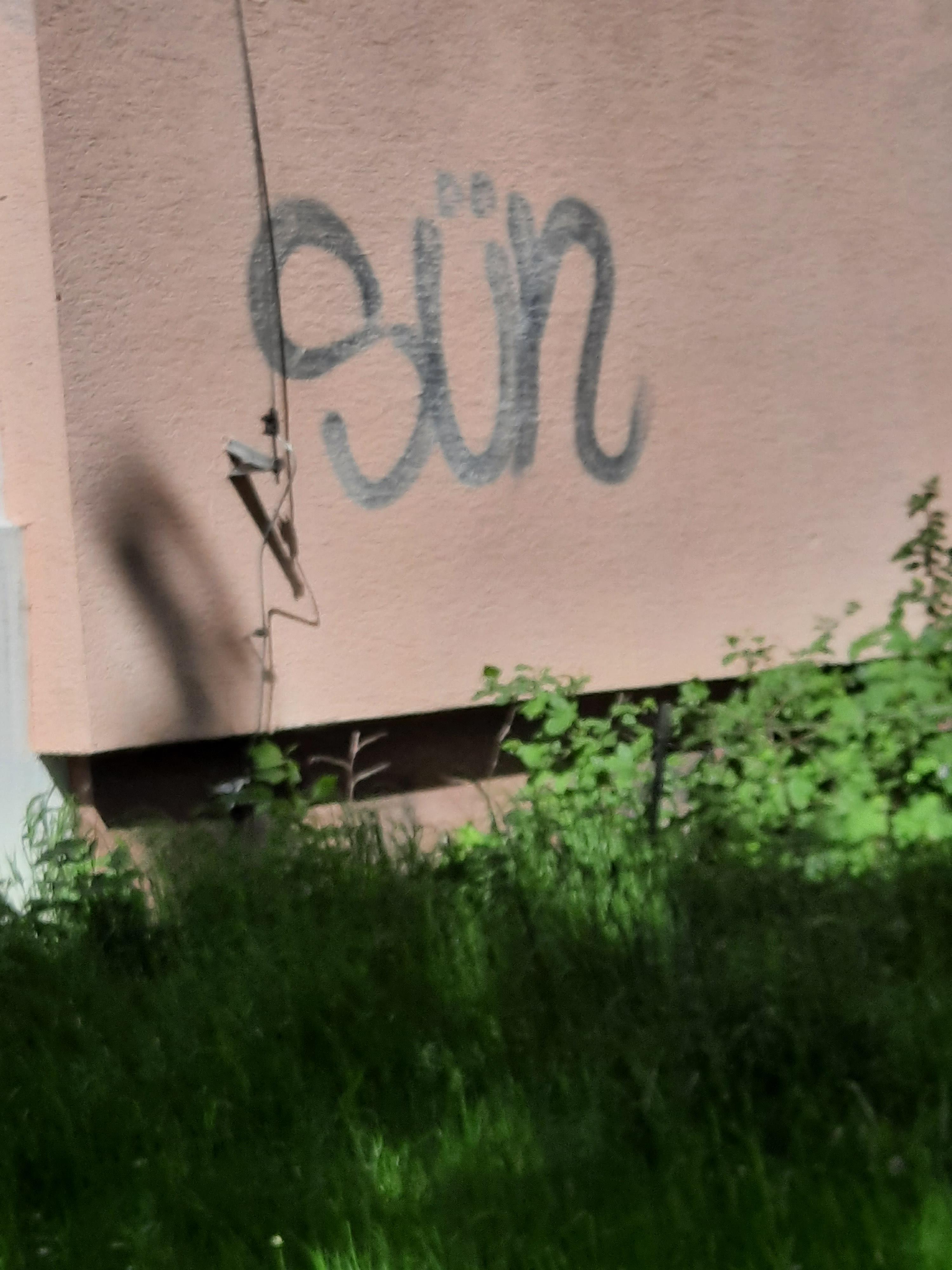 Zdjęcie przed zamalowaniem