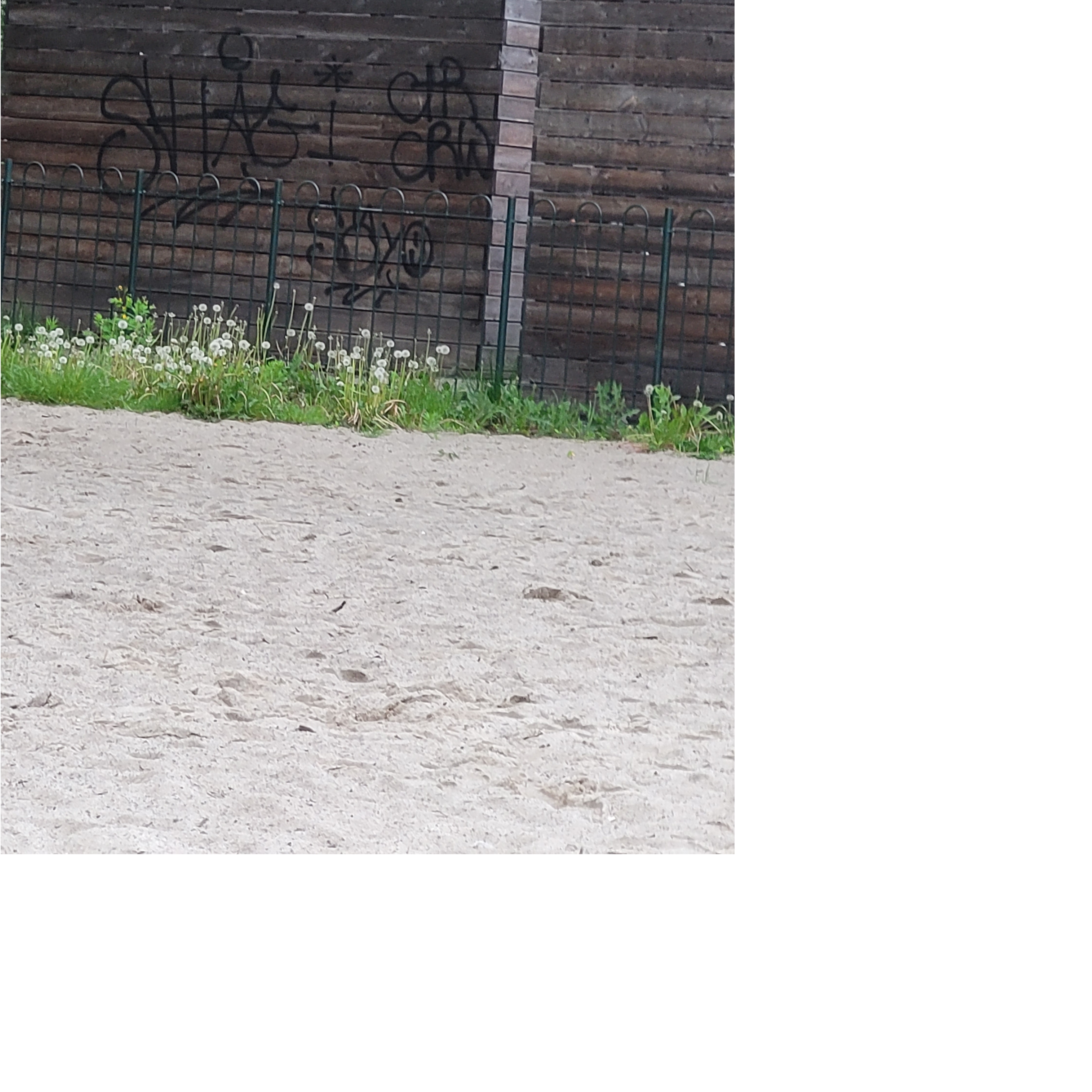 Zdjęcie przed zamalowaniem