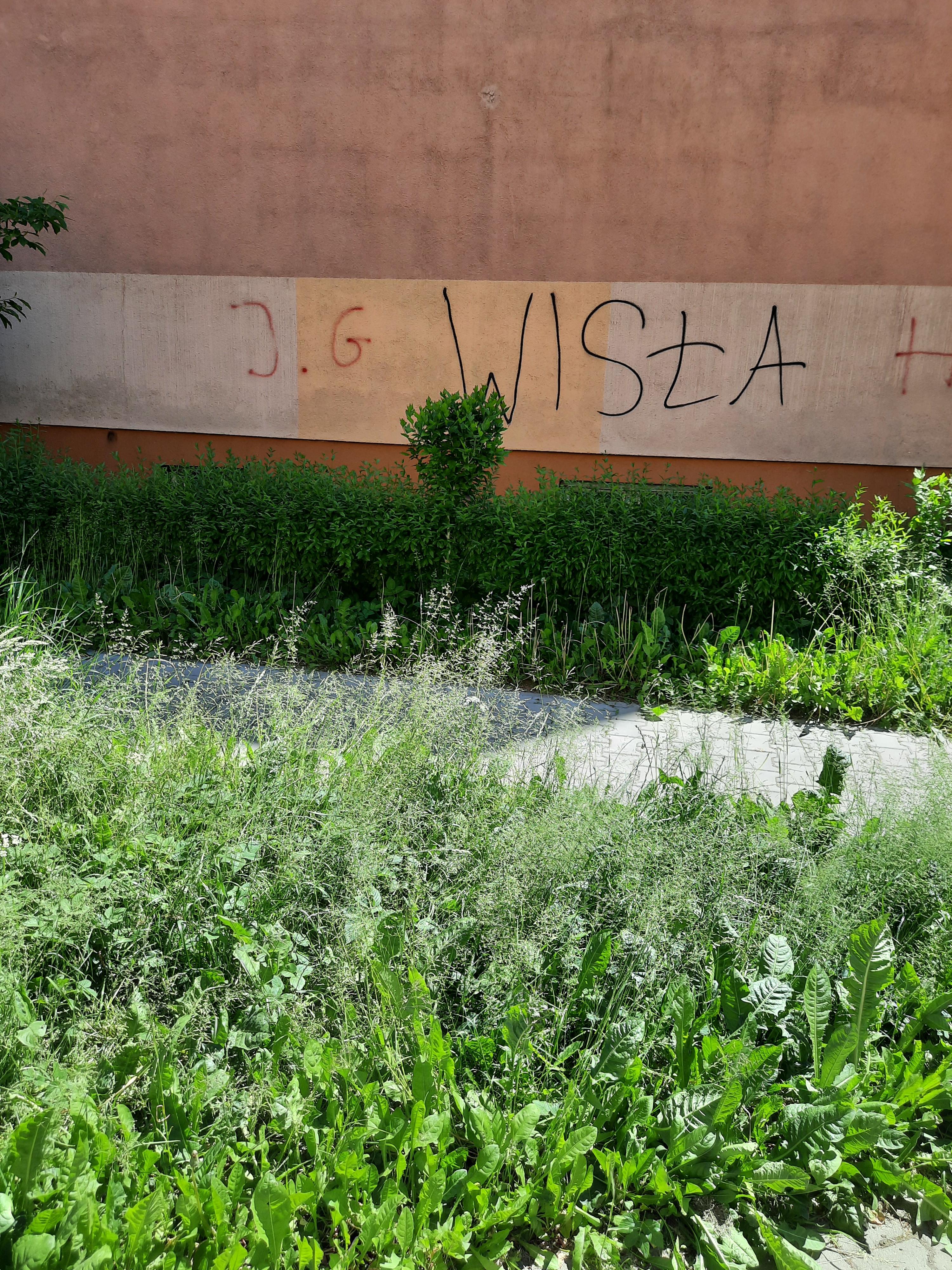 Zdjęcie przed zamalowaniem