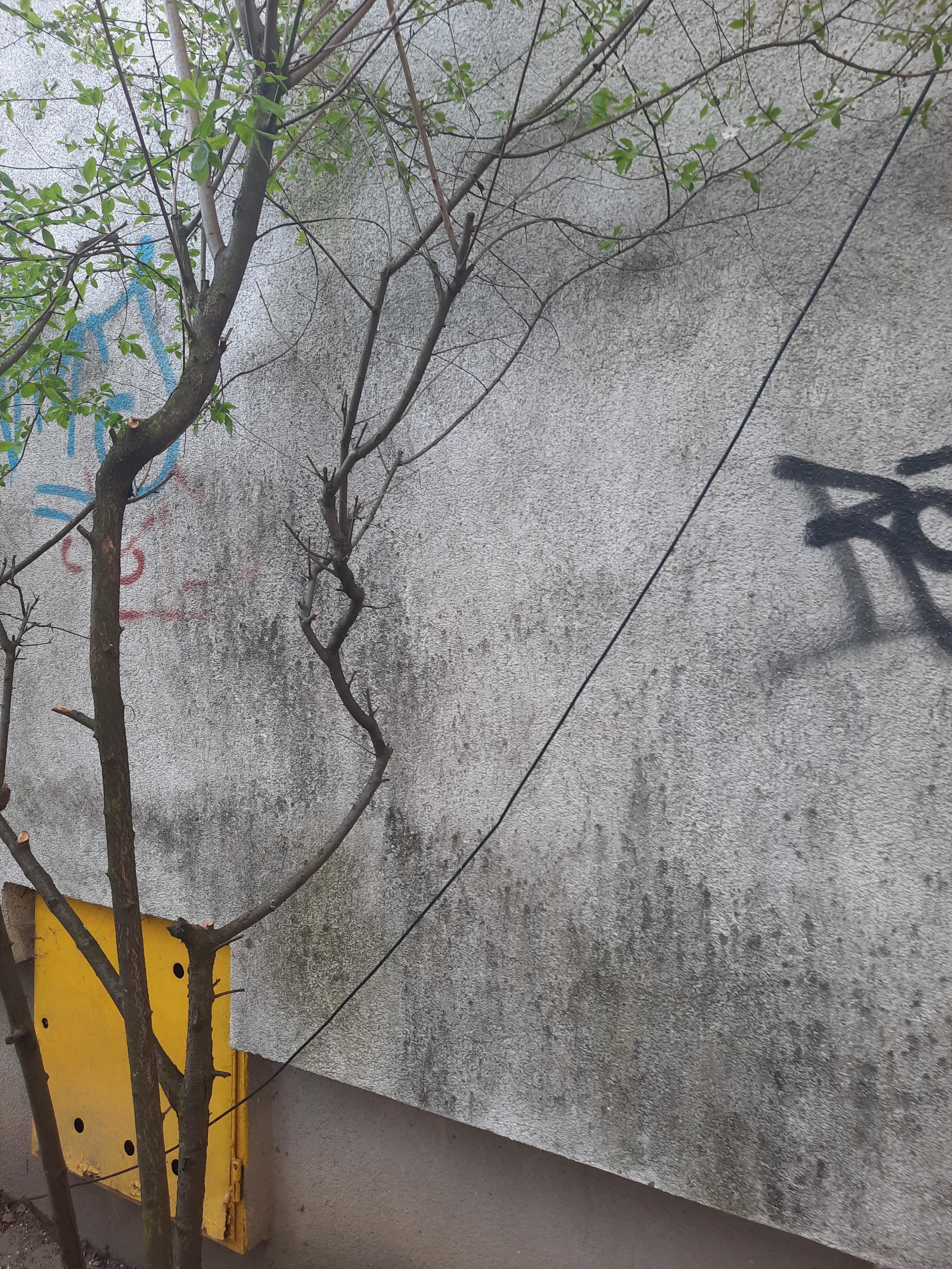 Zdjęcie przed zamalowaniem