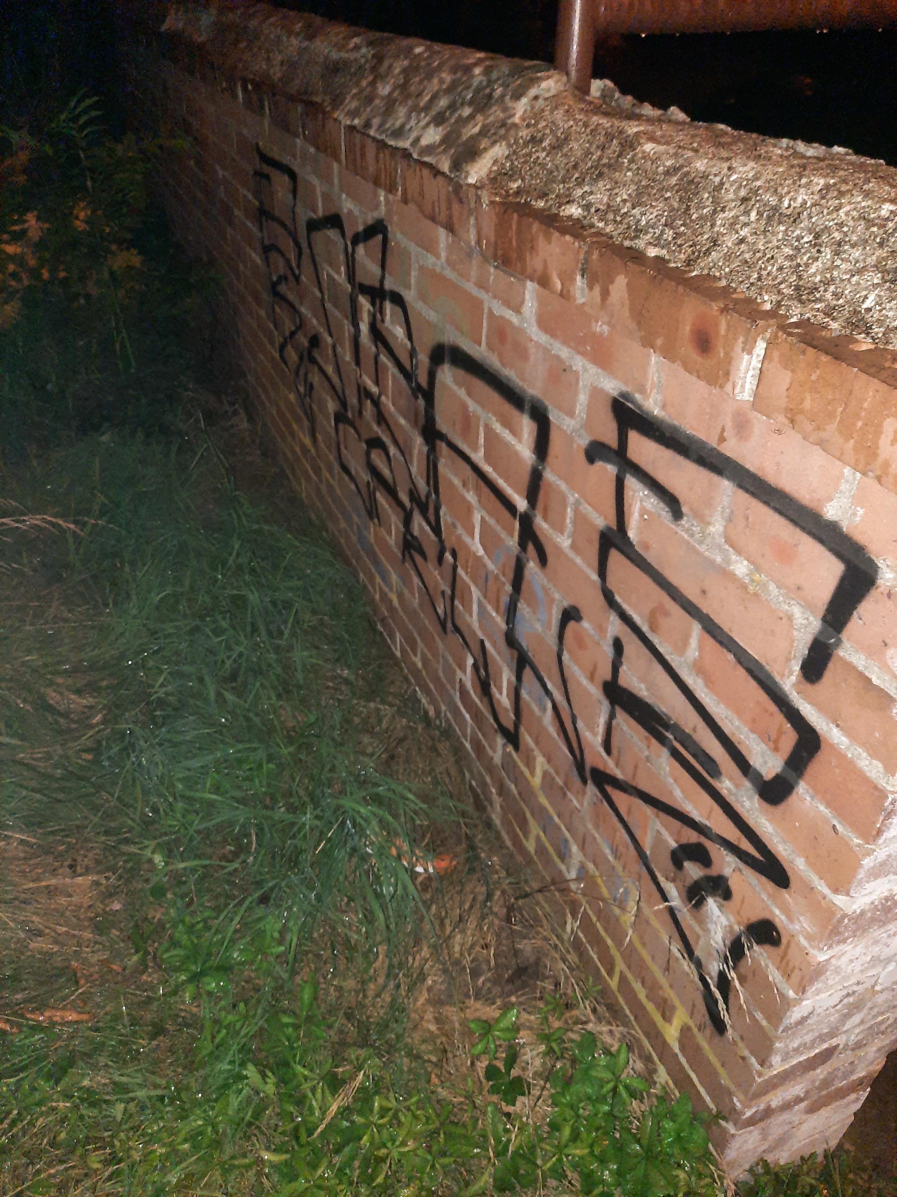 Zdjęcie przed zamalowaniem