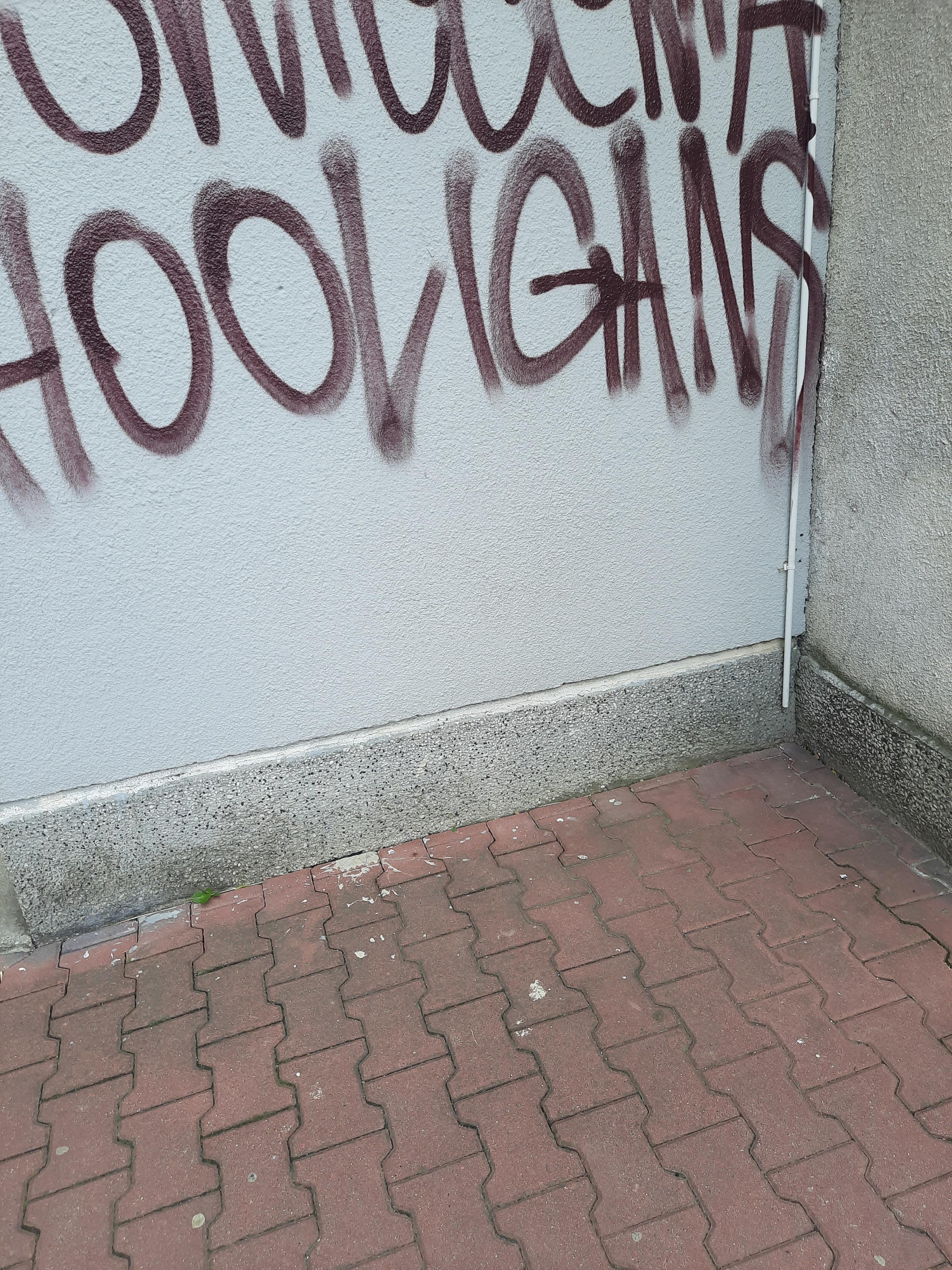 Zdjęcie przed zamalowaniem