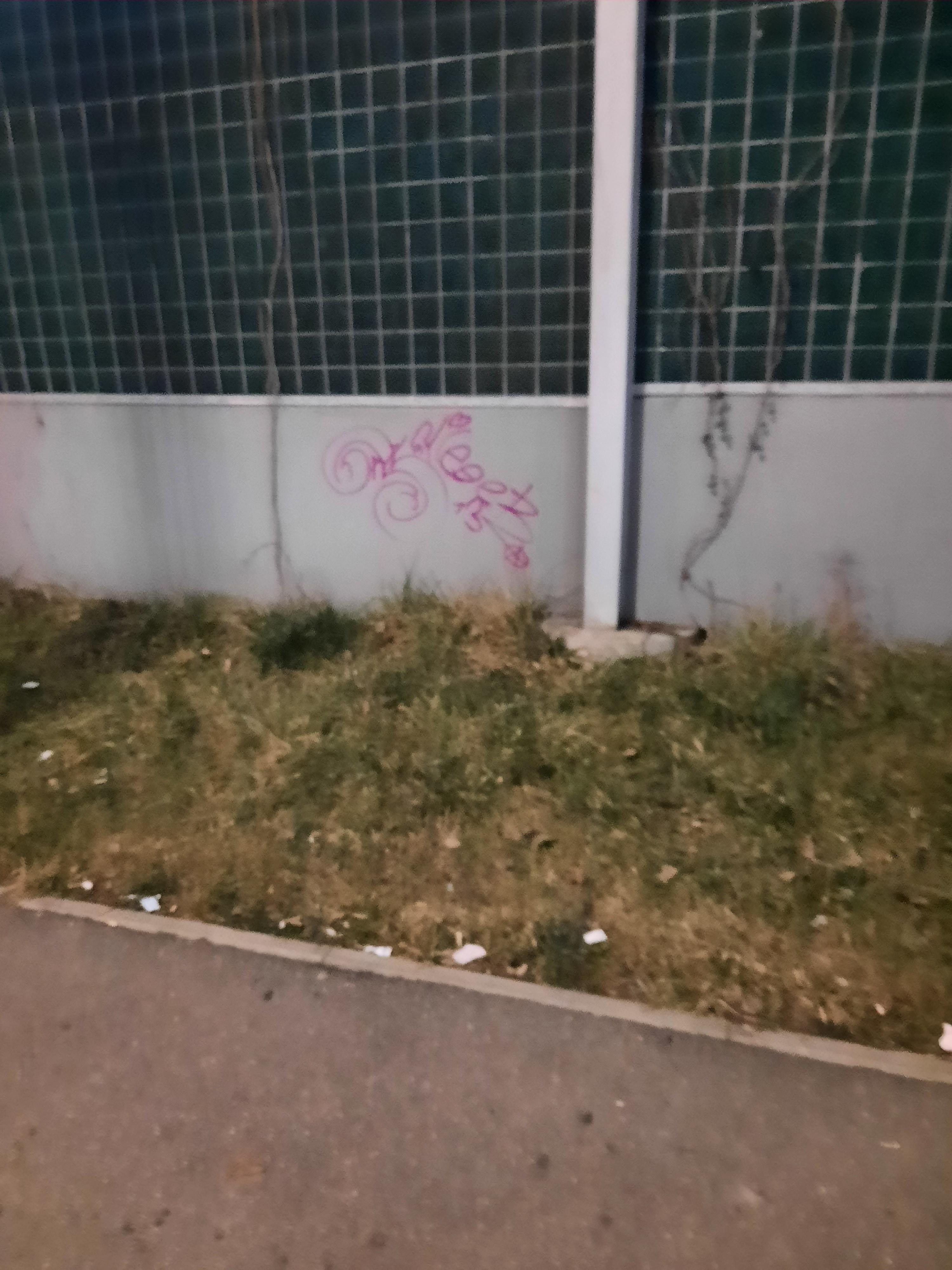 Zdjęcie przed zamalowaniem