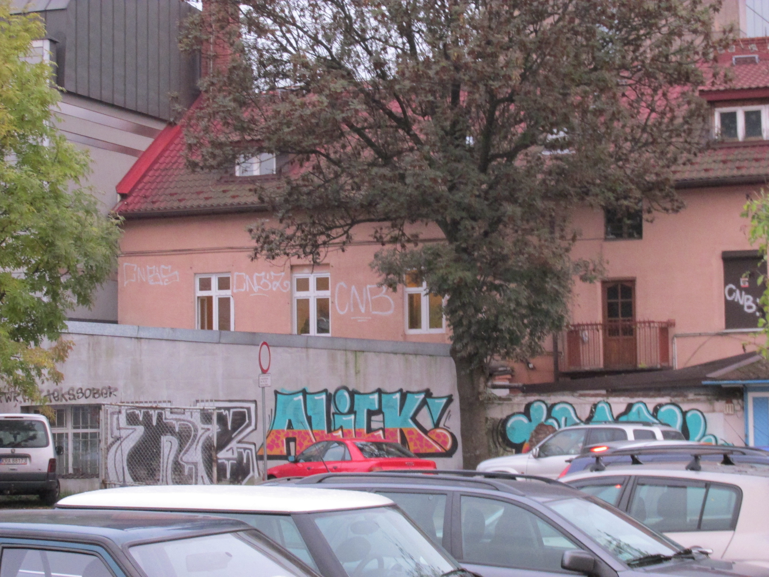 Zdjęcie przed zamalowaniem
