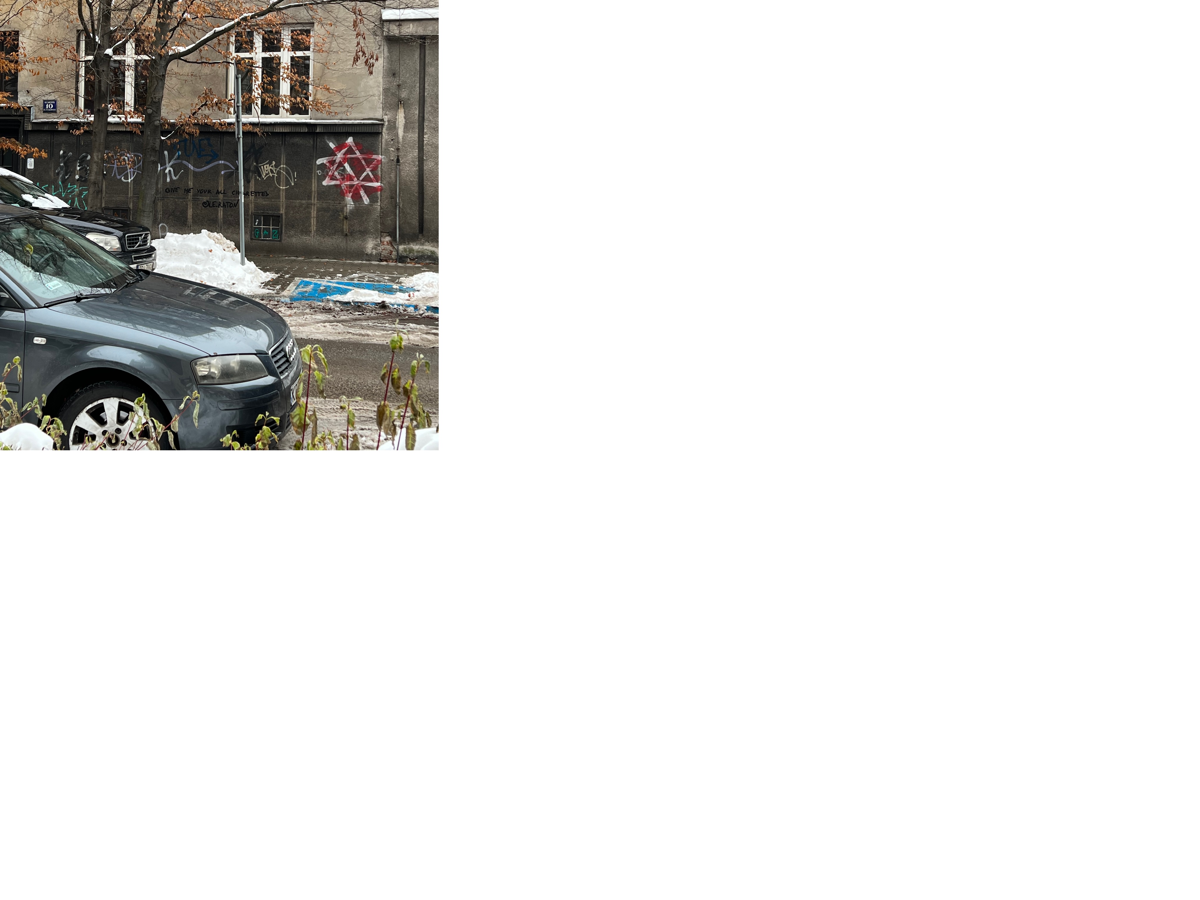 Zdjęcie przed zamalowaniem