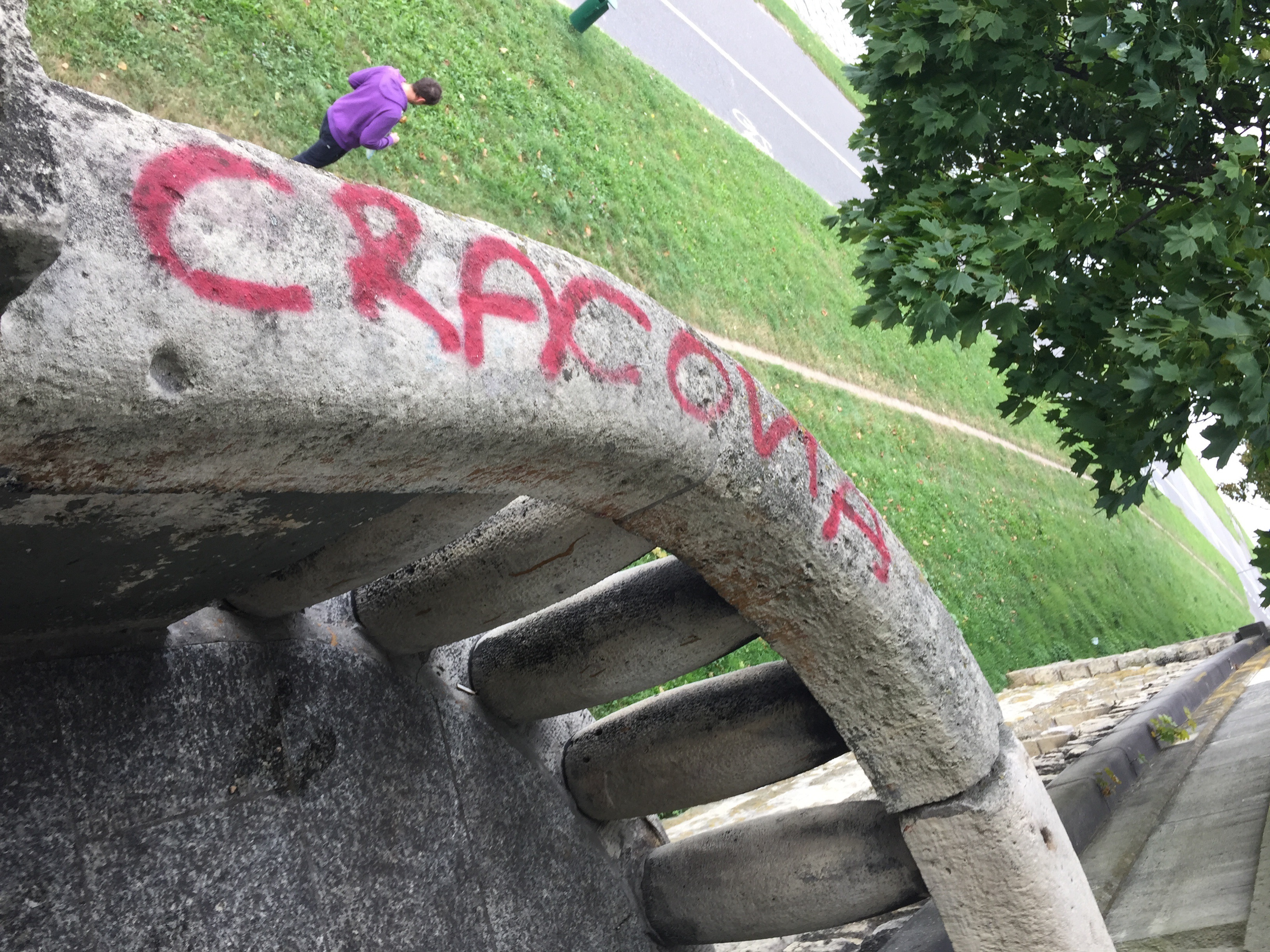 Zdjęcie przed zamalowaniem