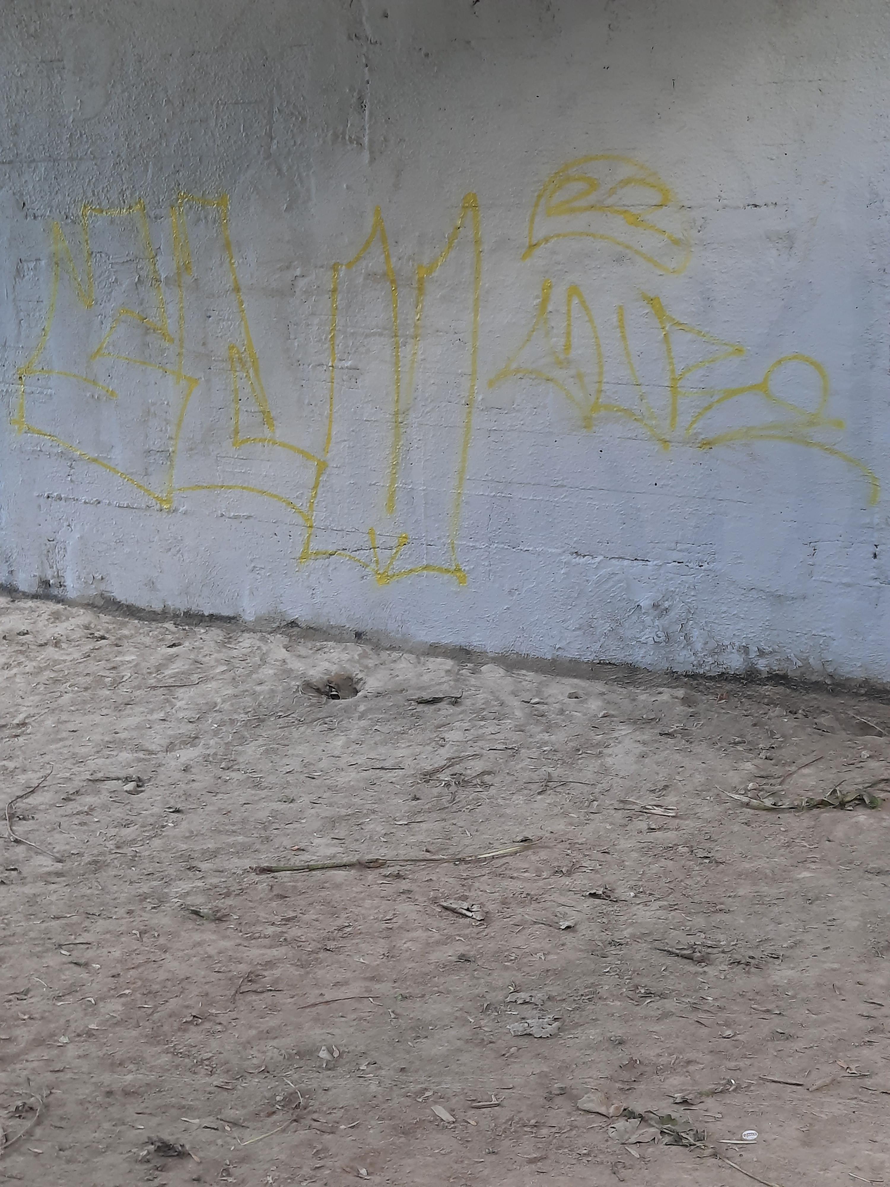Zdjęcie przed zamalowaniem