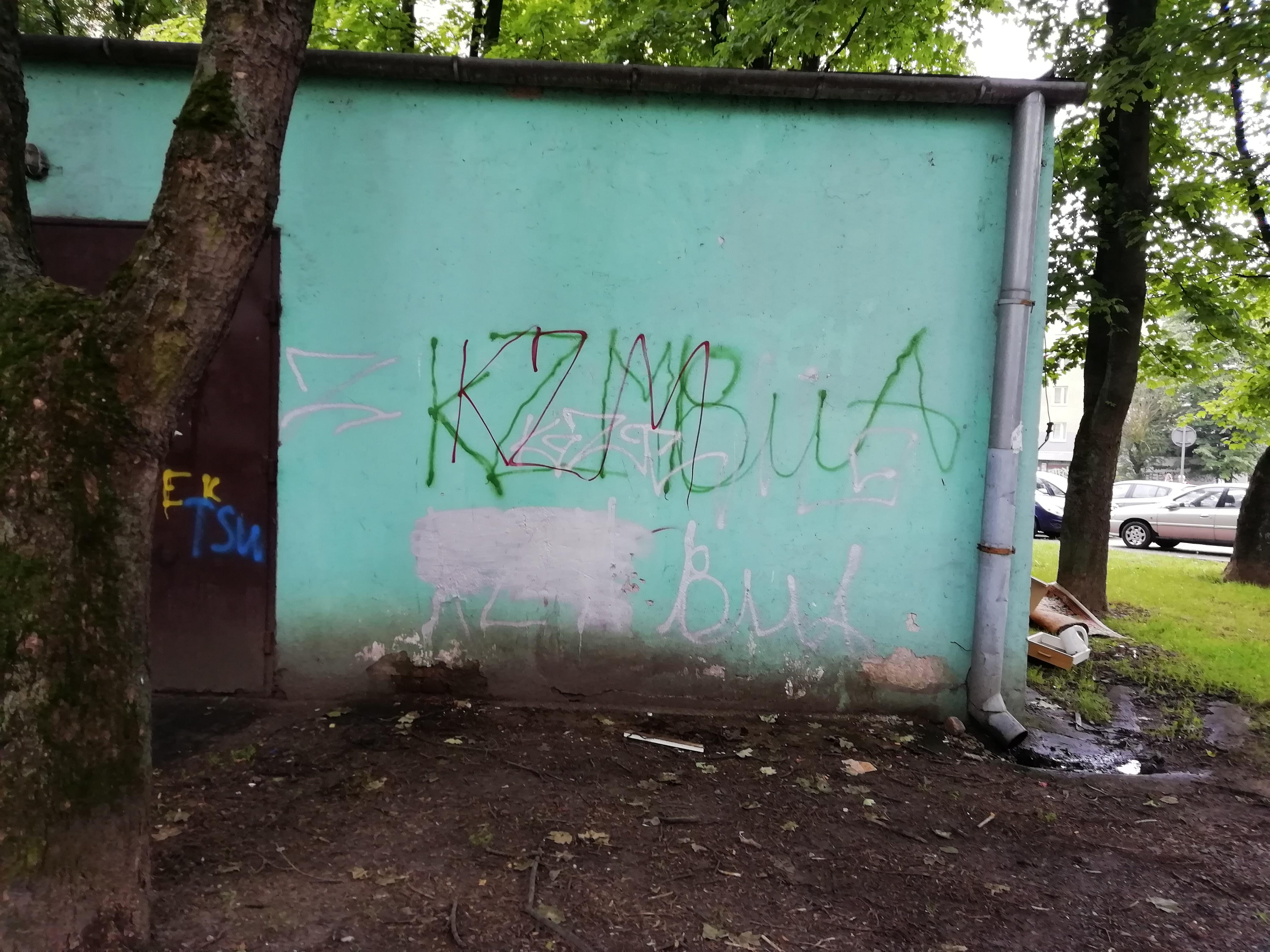 Zdjęcie przed zamalowaniem