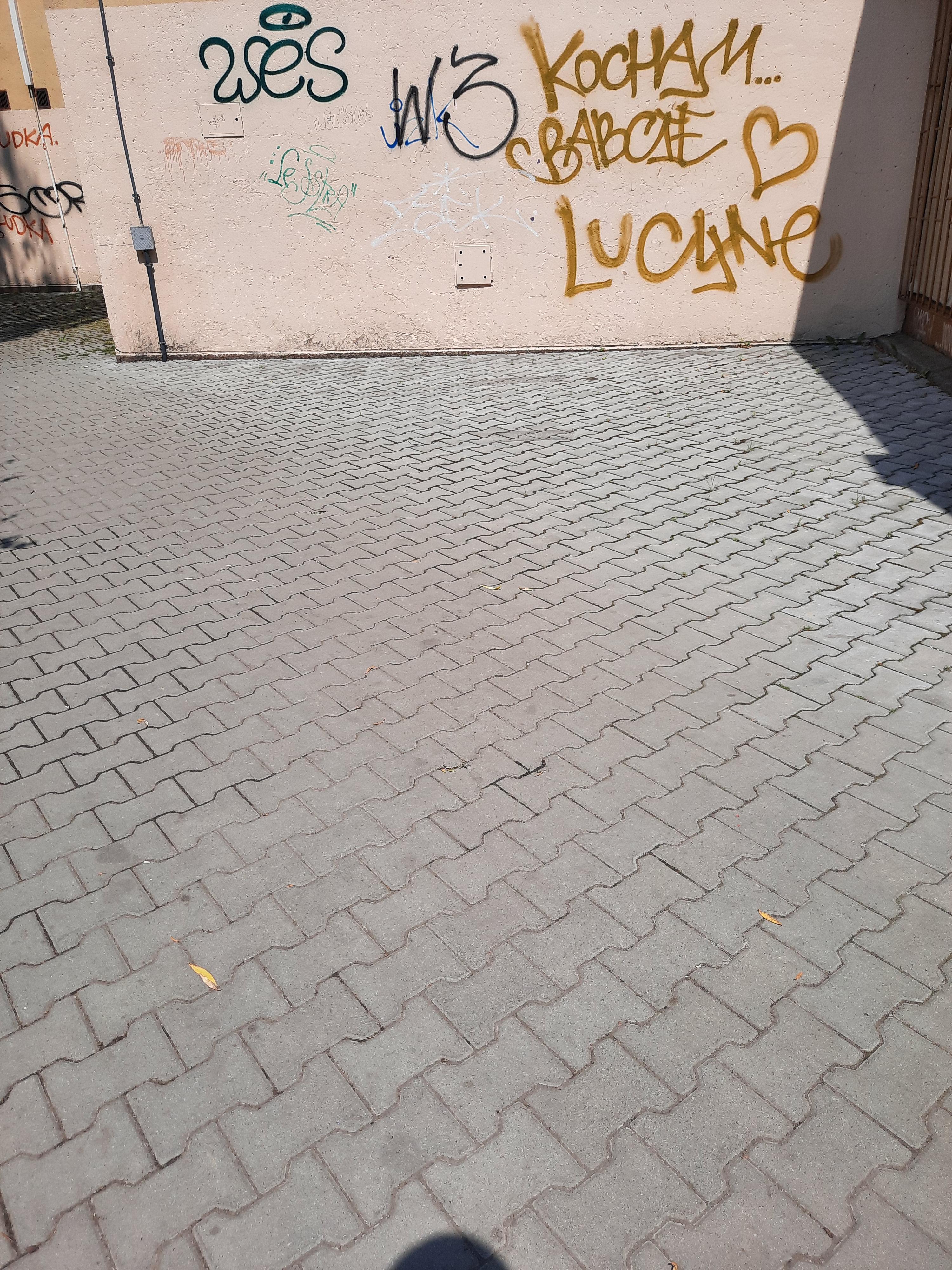 Zdjęcie przed zamalowaniem