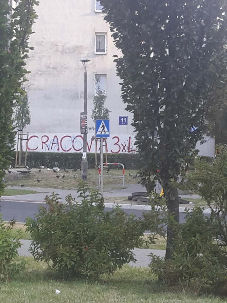Zdjęcie przed zamalowaniem